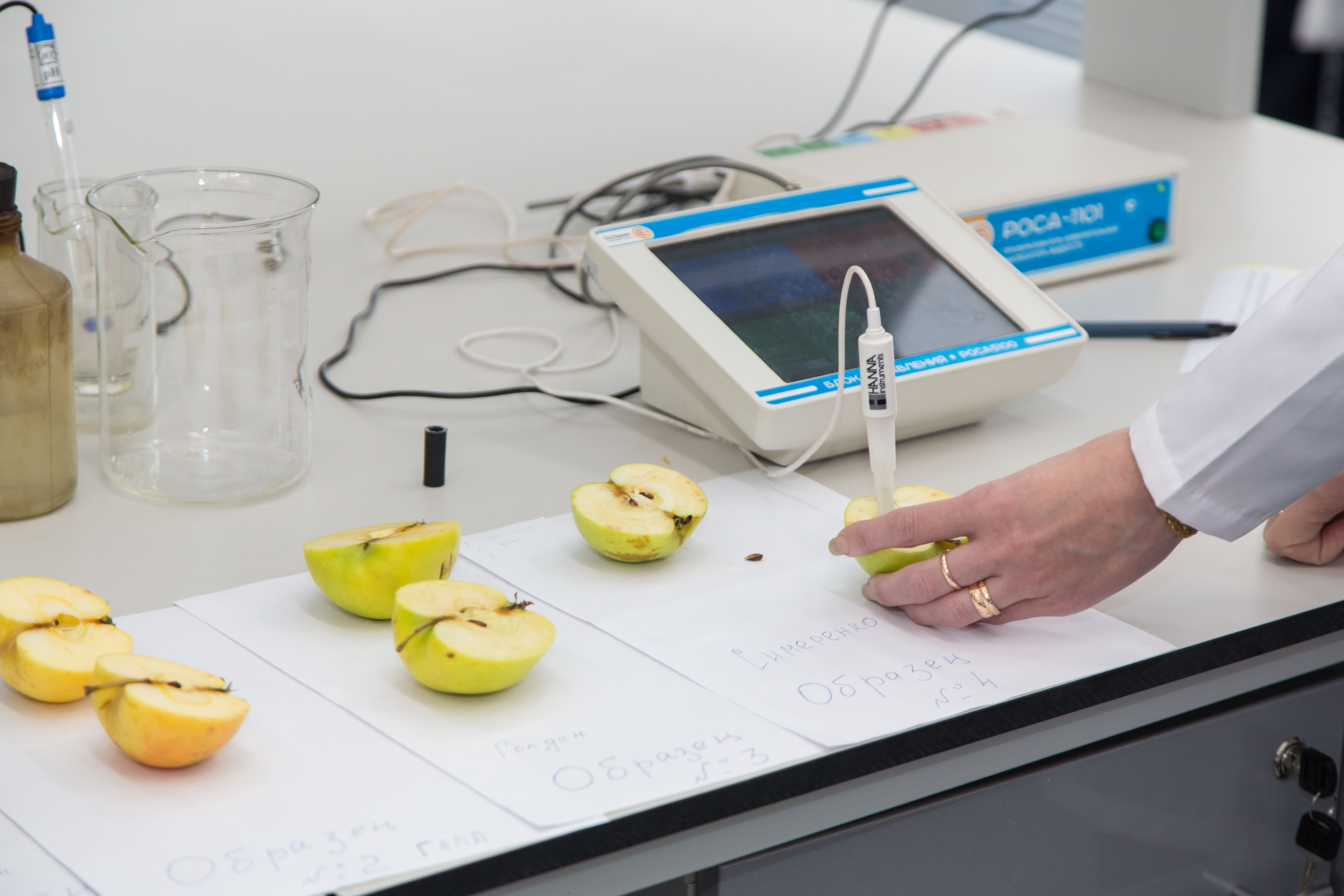 Яблоко в медицине. Яблоко в лаборатории. Яблоко исследование. Изучение яблок в лаборатории. Исследования фруктов в лаборатории.