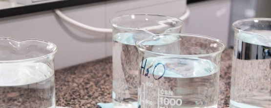 Студенты УрГЭУ исследовали безопасность воды, бытовой химии и гелей для душа
