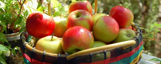 Яблоки для молодости и здоровья 