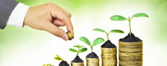 В УрГЭУ обсудили вопросы инвестирования и закредитованности